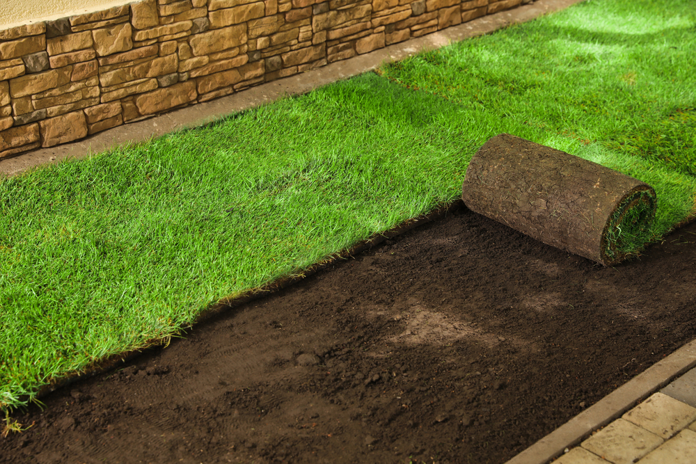 Laying,grass,sods,at,backyard.,home,landscaping